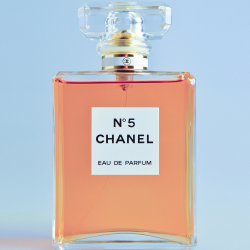 Shop Primary Image Shop Primary Image