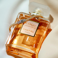 Shop Primary Image Shop Primary Image